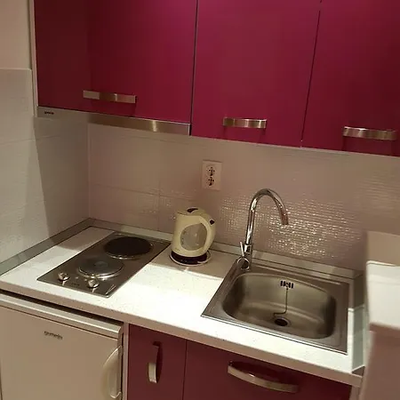 Guest house House Roza