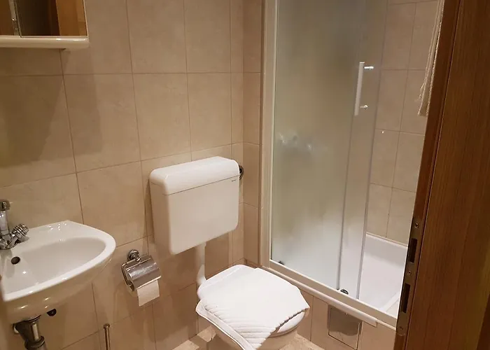 Pensionat House Roza 3*