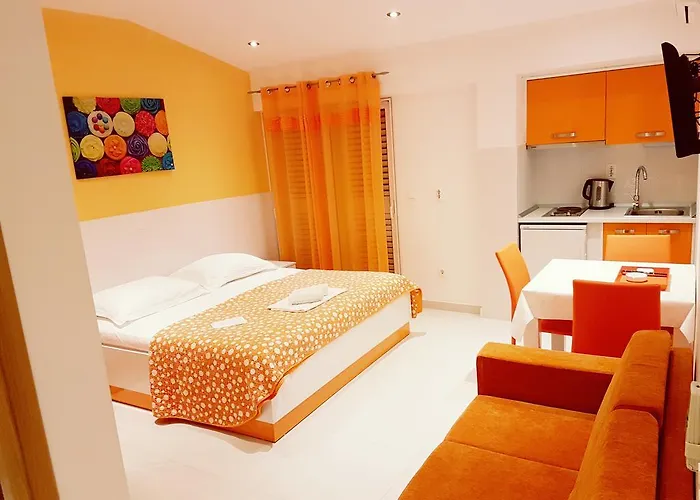 Pensionat House Roza 3*